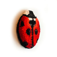 Ladybug 01