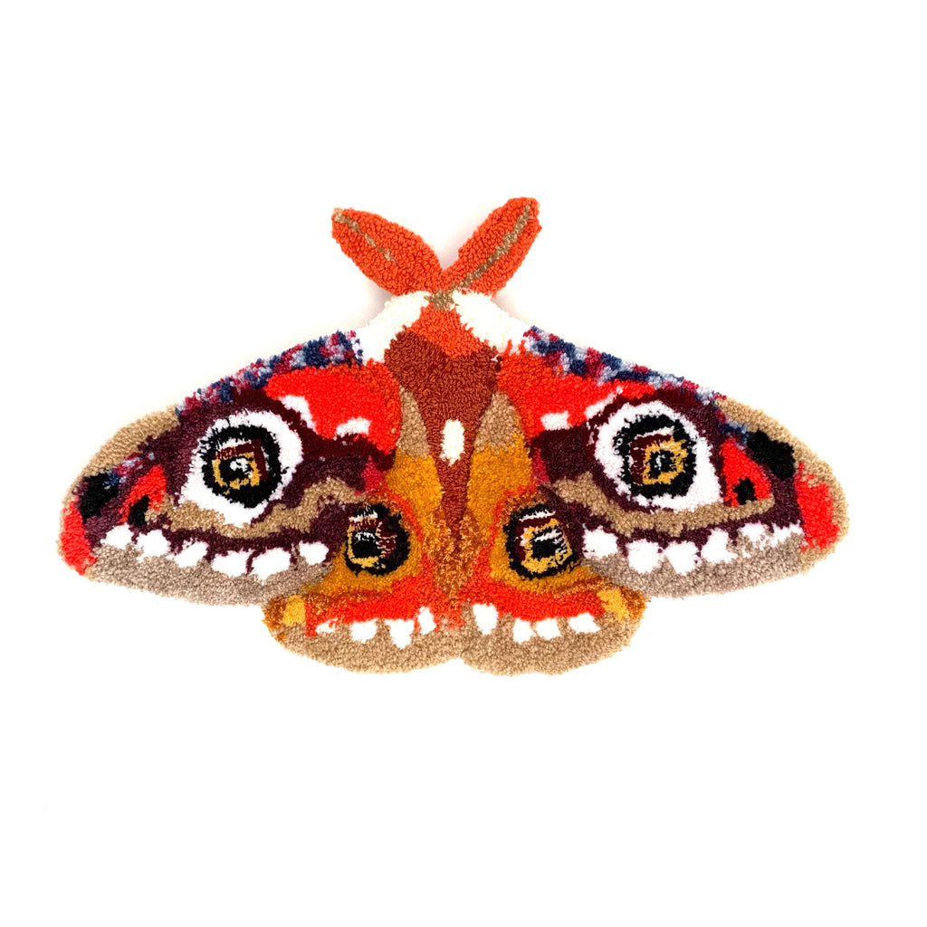 Emperor moth 01